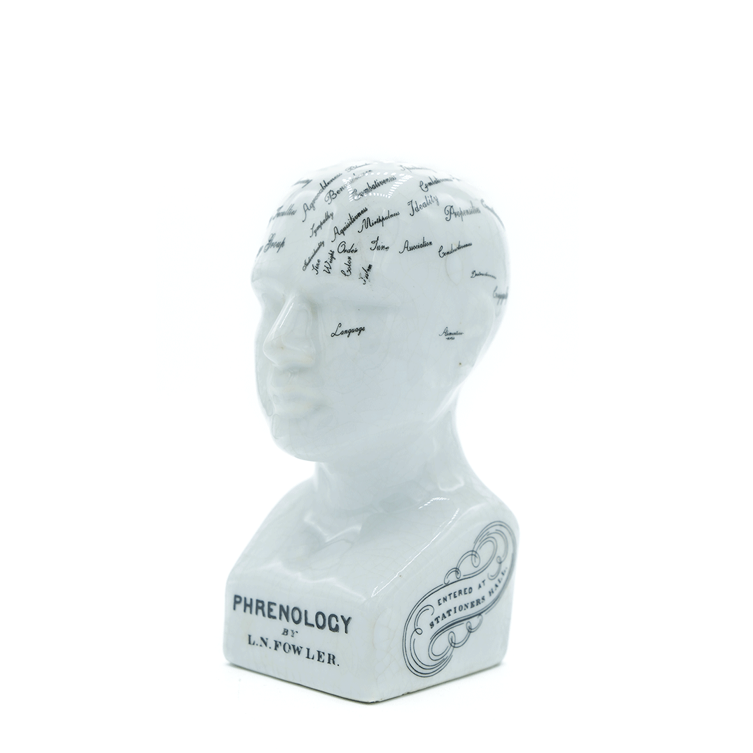 WebshopTekengebied-18