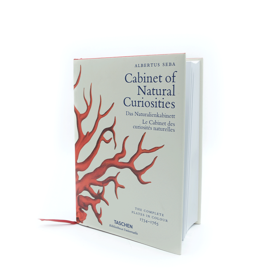 WebshopTekengebied-19